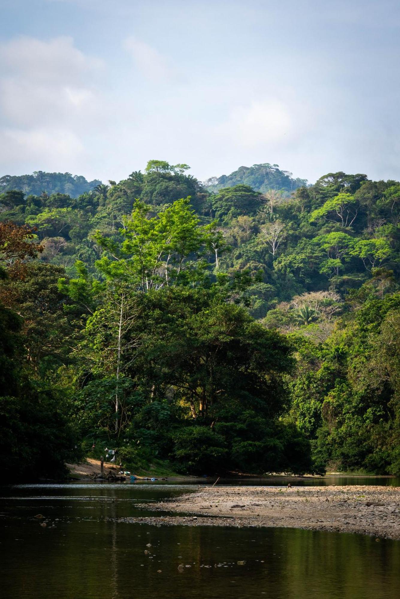 Taironaka Eco Hotel Don Diego Exteriér fotografie